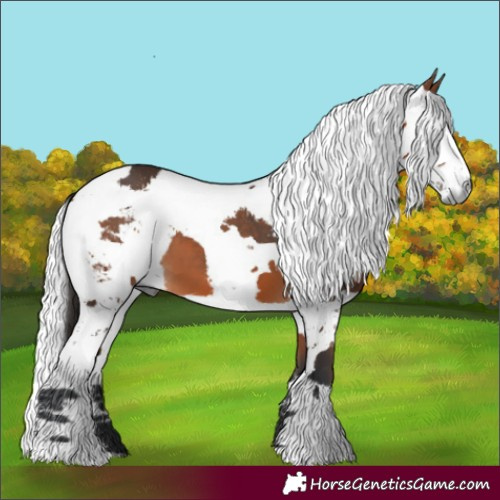 Horse Color:Bay Harlequin Merle