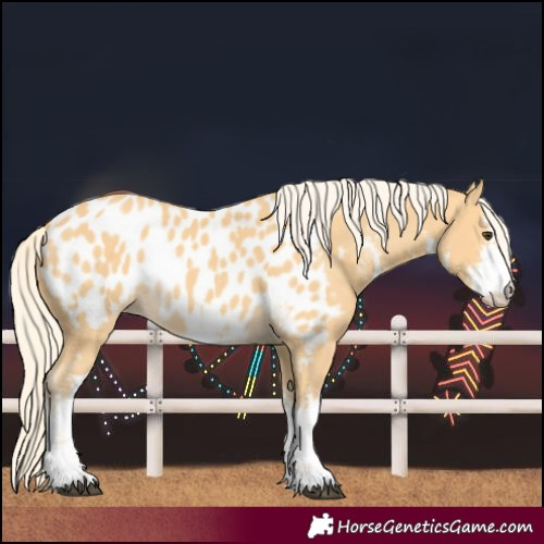 Horse Color:White Spotted Palomino Blanket