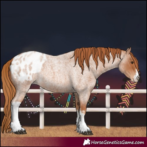 Horse Color:White Spotted Red Roan Varnish 