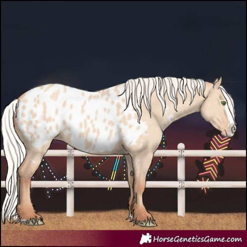 Horse Color:Silver Classic Champagne Dun Splash Blanket