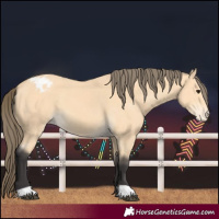 Horse Color:Buckskin Varnish