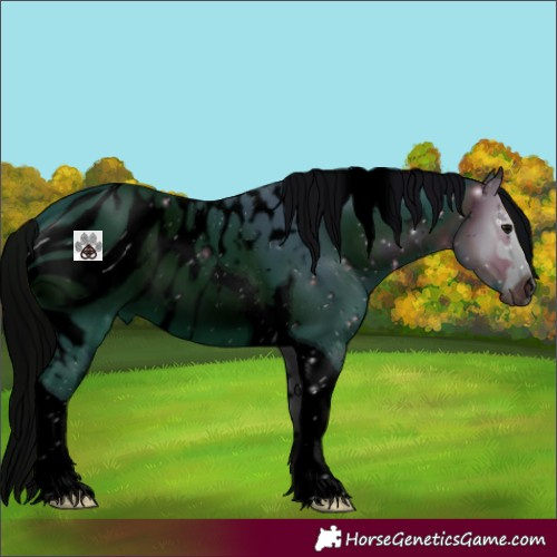 Horse Color:ERROR: UNKNOWN ANOMALY