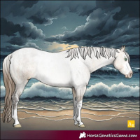 Horse Color:Powder White Buckskin Dun Appaloosa Rabicano 