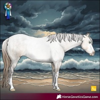 Horse Color:Powder White Buckskin Dun Varnish Rabicano