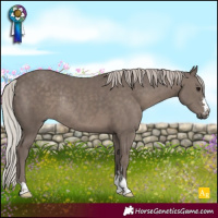 Horse Color:Silver Black Rabicano 