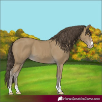 Horse Color:Classic Cream Champagne
