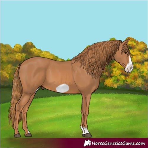 Horse Color:Unknown 