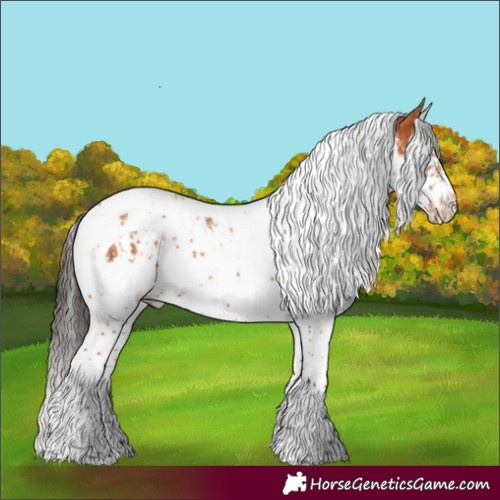 Horse Color:Bay Splash Tobiano  and Bay Splash Tobiano Frame 
