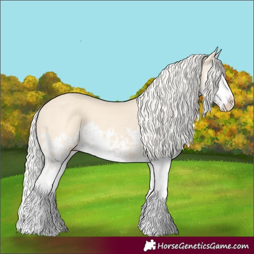 Horse Color:Cremello Splash  and Cremello Splash 