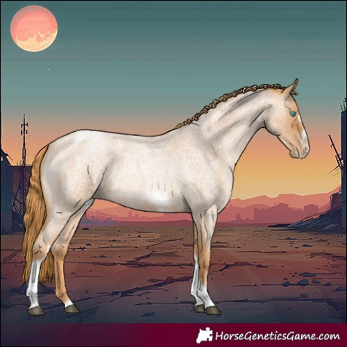 Horse Color:Red Roan Pearl Tobiano Frame