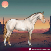 Horse Color:Red Roan Pearl Tobiano Frame 