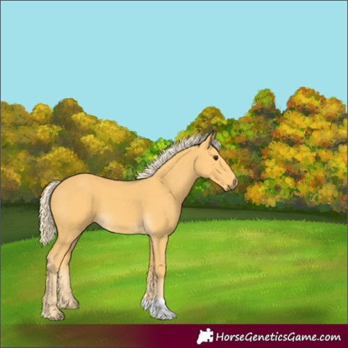 Horse Color:Palomino