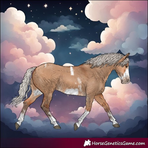 Horse Color:Silver Bay Dun Sabino Tobiano Frame Rabicano