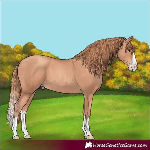 Horse Color:Gold Champagne Splash 