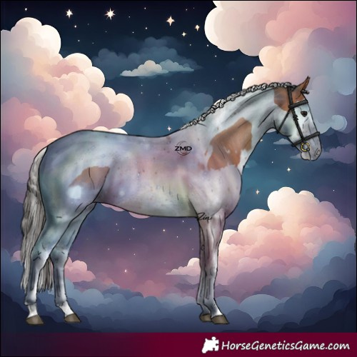 Horse Color:Bay Splash Tobiano and Bay Splash Tobiano