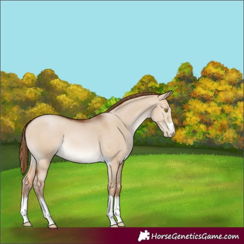 Horse Color:Brown Pearl Dun