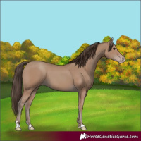 Horse Color:Classic Champagne 