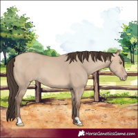 Horse Color:Amber Champagne Dun