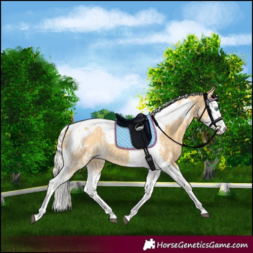 Horse Color:Palomino Splash Tobiano  and Palomino Splash Tobiano 