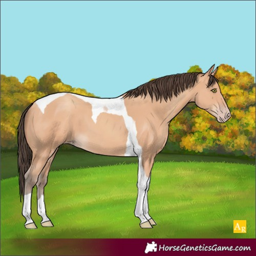 Horse Color:Unknown 