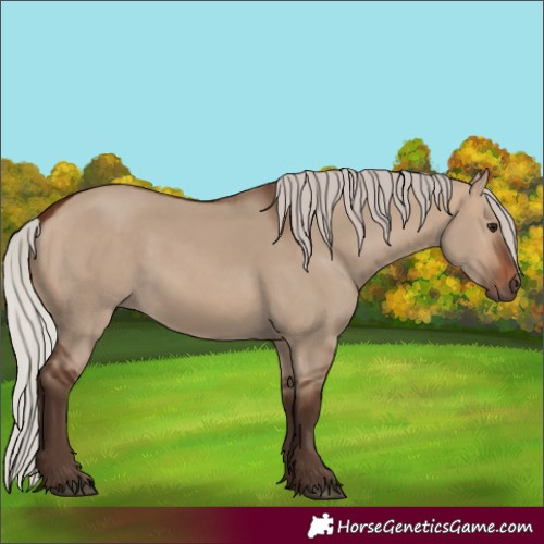 Horse Color:Silver Brown Dun