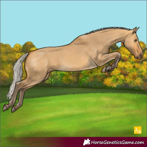 Horse Color:Silver Buckskin Dun 
