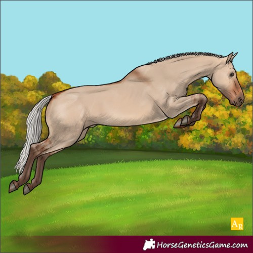 Horse Color:Silver Bay Dun 
