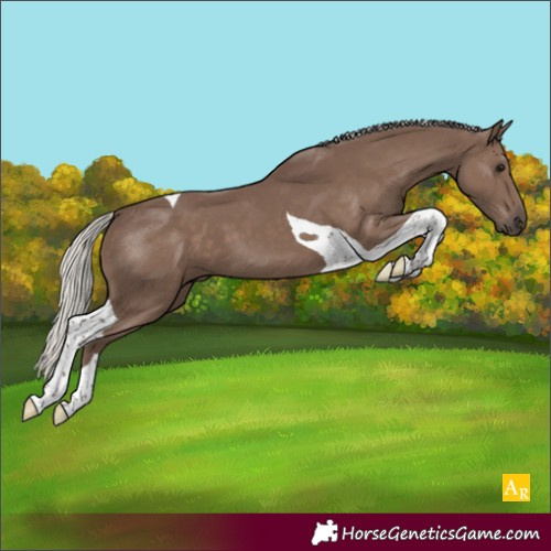 Horse Color:Silver Black Tobiano 