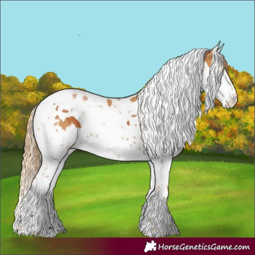 Horse Color:Bay Splash Tobiano and Chestnut Splash Tobiano
