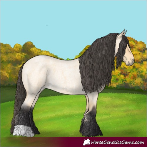 Horse Color:Buckskin Roan