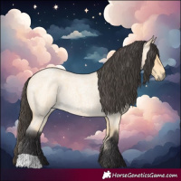 Horse Color:Buckskin Roan