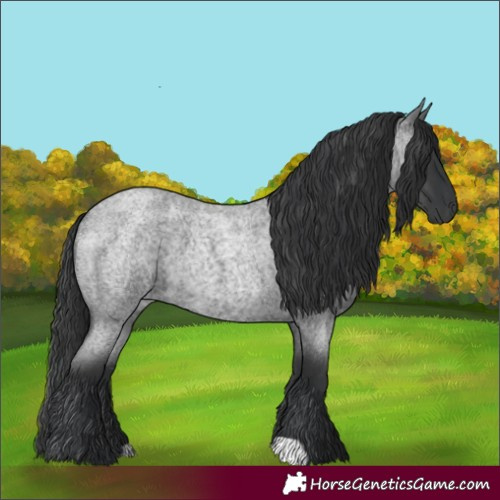 Horse Color:Blue Roan 
