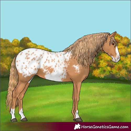 Horse Color:Chestnut Frame Blanket