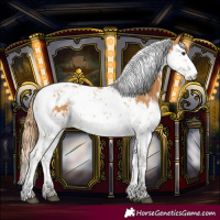 Horse Color:Chestnut Splash Tobiano and Chestnut Splash Tobiano