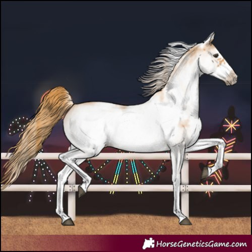 Horse Color:White Spotted Chestnut Frame 