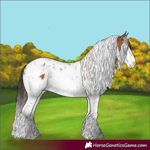 Horse Color:Chestnut Splash Tobiano and Bay Splash Tobiano