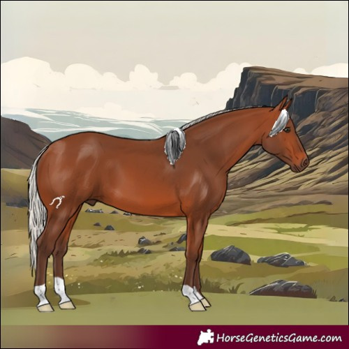 Horse Color:Silver Brown 