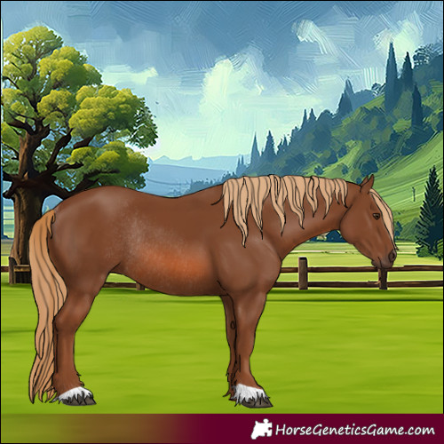 Horse Color:Chestnut Rabicano 