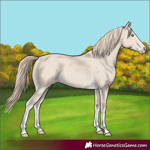 Horse Color:Smoky Creme Splash Frame 