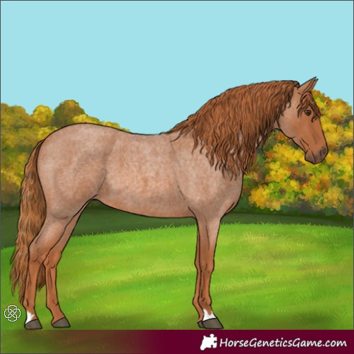 Horse Color:Red Roan
