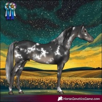 Horse Color:White Spotted Black
