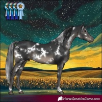 Horse Color:White Spotted Black 
