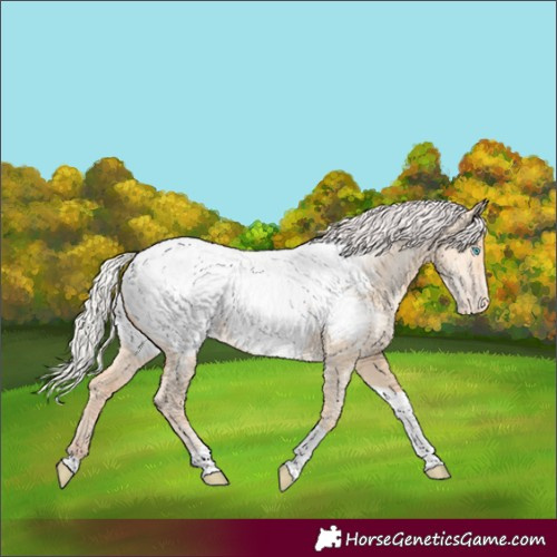 Horse Color:Silver Amber Champagne Pearl Dun Tobiano Appaloosa Rabicano 