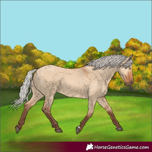 Horse Color:Silver Bay Dun Rabicano