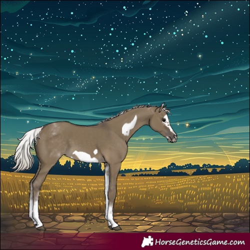 Horse Color:White Spotted Silver Smoky Grullo Frame