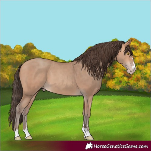 Horse Color:Amber Champagne 