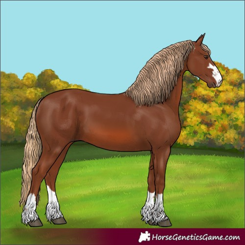 Horse Color:Chestnut Rabicano 