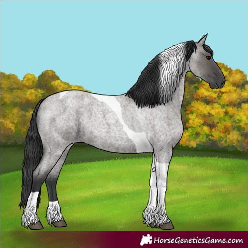 Horse Color:Grullo Roan Tobiano 