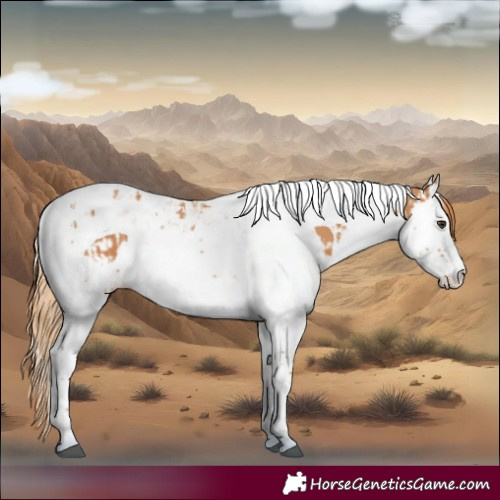 Horse Color:Chestnut Splash Tobiano  and Chestnut Splash Tobiano 