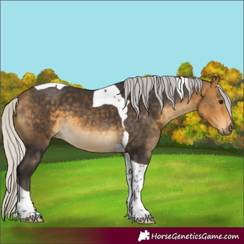 Horse Color:Silver Buckskin Tobiano 